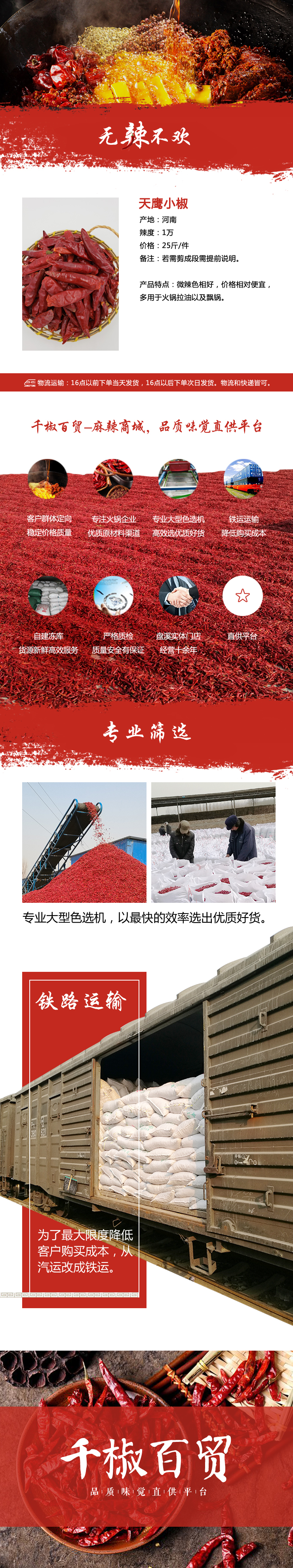 重慶辣椒批發(fā)價(jià)格 天鷹小椒 230元/25斤